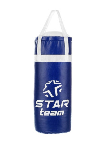 Боксерская груша "STAR TEAM" в сетке
