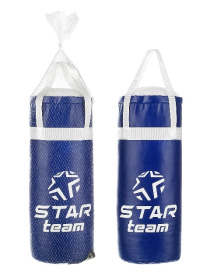 Боксерская груша "STAR TEAM" в сетке