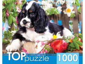 TOPpuzzle. Пазлы 1000 элементов. Щенок спаниеля в саду