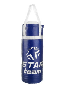 Боксерская груша "STAR TEAM" в сетке