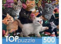 TOPpuzzle. Пазлы "Игривые котята" 500 эл.