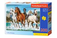 Puzzle-200 "Лошади"