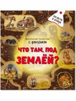 Книжка с фонариком "Что там под Землёй"