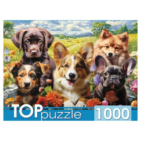 TOPpuzzle. ПАЗЛЫ 1000 элементов. ВЕСЕЛОЕ СЕЛФИ ЩЕНКОВ TOPpuzzle. ПАЗЛЫ 1000 элементов. ВЕСЕЛОЕ СЕЛФИ ЩЕНКОВ