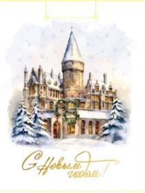 Dream Cards Пакет подароч.с мат.лам.и глит. (12 шт в наборе) 18x23x10 см (M) Снежный замок,190г(соб Dream Cards Пакет подароч.с мат.лам.и глит. (12 шт в наборе) 18x23x10 см (M) Снежный замок,190г(соб