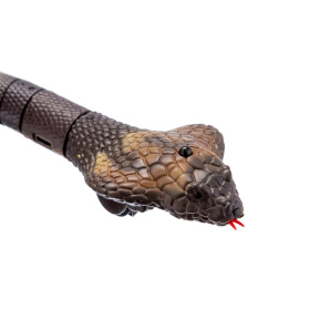 Кобра "Beboy" на пульте радиоуправления Кобра "Beboy" на пульте радиоуправления