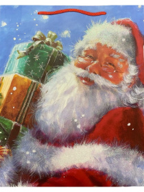 Dream cards Пакет подар.с мат.лам.и глит. (12 шт в наборе) 18*23*10см(M), Дедушка Мороз и подарки, Dream cards Пакет подар.с мат.лам.и глит. (12 шт в наборе) 18*23*10см(M), Дедушка Мороз и подарки,