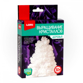 Выращивание кристаллов. Деревья "Белая ёлочка" Выращивание кристаллов. Деревья "Белая ёлочка"