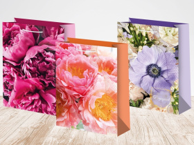 Пакет подарочный 22-31 лам.матовый микс (12 шт в наборе) Женская Пакет подарочный 22-31 лам.матовый микс (12 шт в наборе) Женская