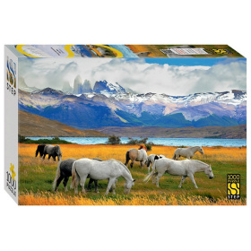 Мозаика "puzzle" 1000 "Лошади в национальном парке. Чили" Мозаика "puzzle" 1000 "Лошади в национальном парке. Чили"