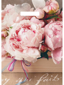 Пакет полиэтиленовый вырубной "Бенефис" (29х40 см) Пакет полиэтиленовый вырубной "Бенефис" (29х40 см)