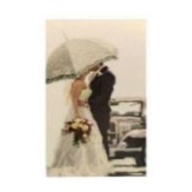 Открытка 14,5*9 см, в/п Открытка 14,5*9 см, в/п