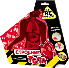 Научно-познавательный набор "Строение тела"