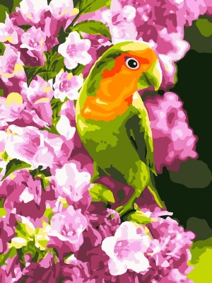 Картина по номерам на картоне 28,5*38 см "Весенний попугайчик"