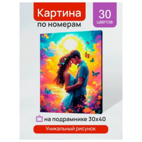 Холст с красками 30x40 см по номерам (в коробке) (30 цв.) Пара в ярких красках Холст с красками 30x40 см по номерам (в коробке) (30 цв.) Пара в ярких красках