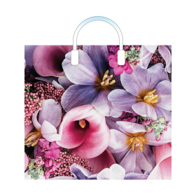 Пакет полиэтиленовый с пластиковой ручкой (10 шт в наборе) Ванда 38*34 см Пакет полиэтиленовый с пластиковой ручкой (10 шт в наборе) Ванда 38*34 см