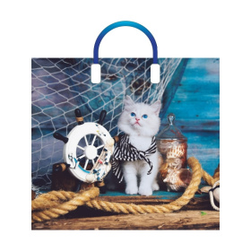 Пакет полиэтиленовый с пластиковой ручкой (10 шт в наборе) Матроскин 38*34 см Пакет полиэтиленовый с пластиковой ручкой (10 шт в наборе) Матроскин 38*34 см