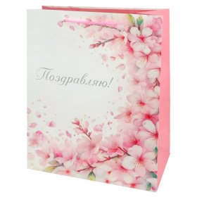 Dream cards Пакет подар. с мат.лам. и глит. (12 шт в наборе) 26,4х32,7х13,6 см (L) Сакура Dream cards Пакет подар. с мат.лам. и глит. (12 шт в наборе) 26,4х32,7х13,6 см (L) Сакура