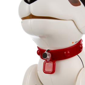 Робопес "Скай" "BEBOY" на пульте радиоуправления Робопес "Скай" "BEBOY" на пульте радиоуправления