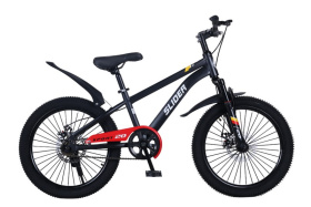 Велосипед двухколесный Slider Race 20", стальная рама и руль Велосипед двухколесный Slider Race 20", стальная рама и руль