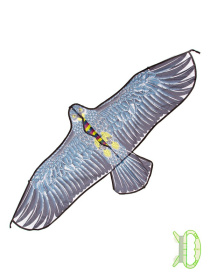 Воздушный змей Воздушный змей