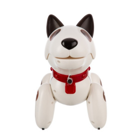 Робопес "Скай" "BEBOY" на пульте радиоуправления Робопес "Скай" "BEBOY" на пульте радиоуправления