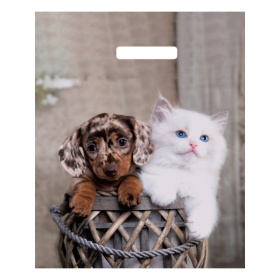 Пакет вырубной (50 шт в наборе) Пушистая парочка 31х40см Пакет вырубной (50 шт в наборе) Пушистая парочка 31х40см