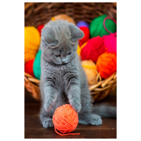 Алмаз мозаика (класс.) 17х22 см, с подр.,с полным заполн.(21цв) Котёнок играет с клубком Алмаз мозаика (класс.) 17х22 см, с подр.,с полным заполн.(21цв) Котёнок играет с клубком