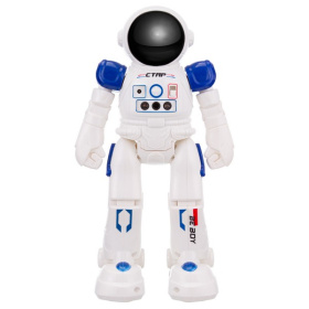 Робот "Beboy" на пульте радиоуправления Робот "Beboy" на пульте радиоуправления