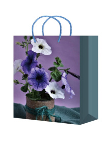 Optima Пакет подарочный с глянцевой ламинацией ( 12 шт. в наборе) 11,5х14,5х6 см (S) Петуния Optima Пакет подарочный с глянцевой ламинацией ( 12 шт. в наборе) 11,5х14,5х6 см (S) Петуния
