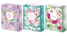 Пакет подарочный 18х23 см (12 шт в наборе) фольга Пакет подарочный 18х23 см (12 шт в наборе) фольга